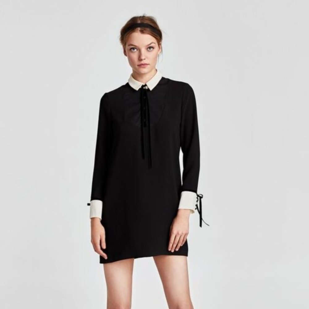 Zara Black and White Collared Dress with Velvet Details